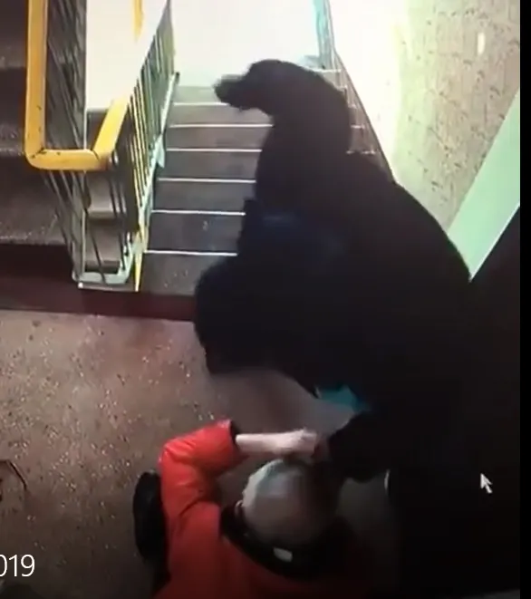 Bătrân bătut crunt într-o scară de bloc din Galaţi