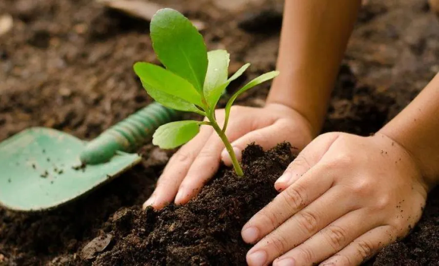 Pompierii gălățeni plantează o pădure în onoarea generalului Eremia Grigorescu