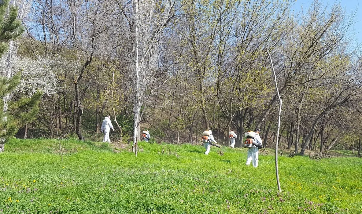 Dezinsecție organizată la Balta Zătun și în Pădurea Gârboavele