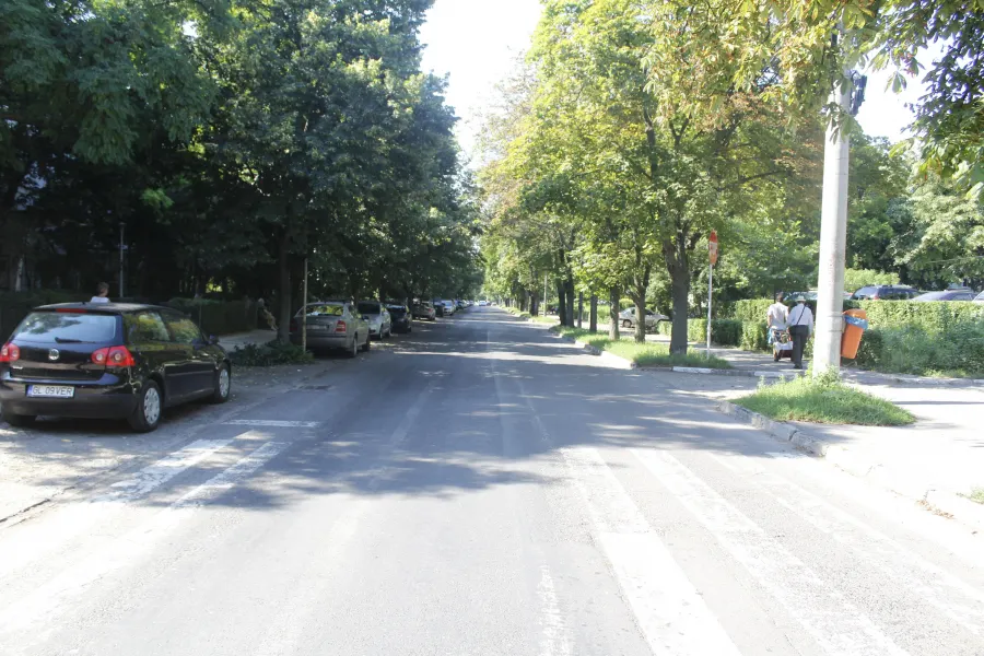 Campania de plantare de arbori continuă
