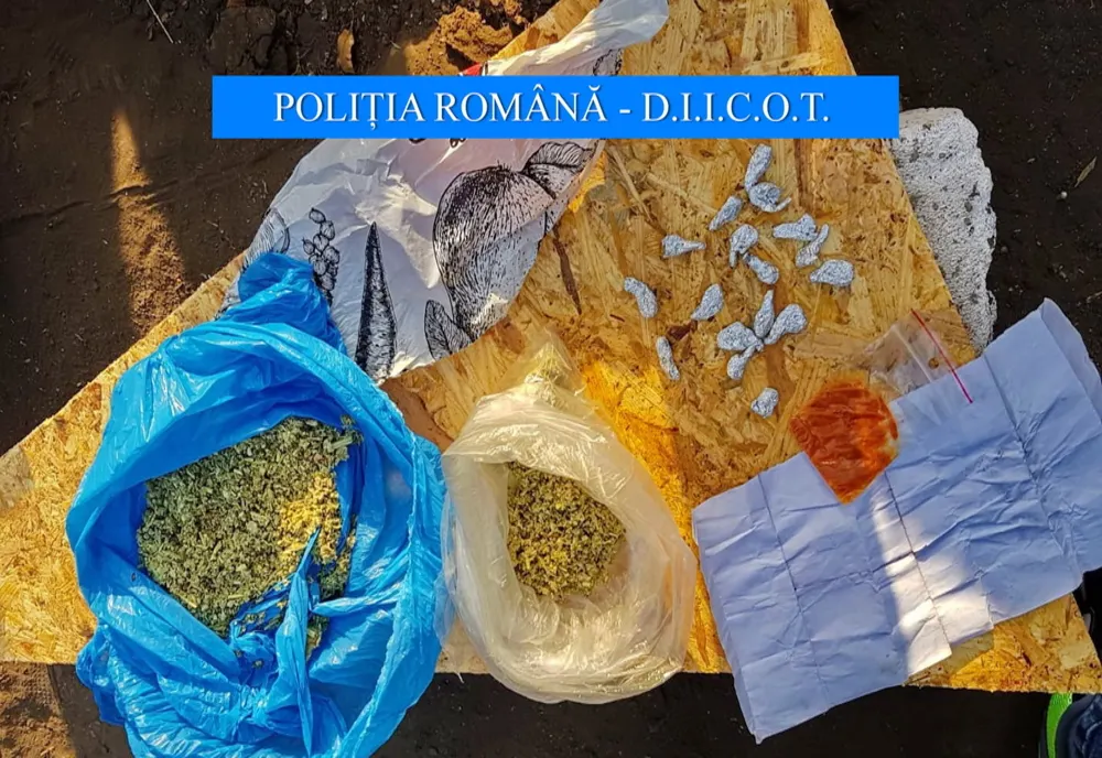 Vindeau substanțe vegetale susceptibile de a avea efecte psihoactive - pe scurt cannabis