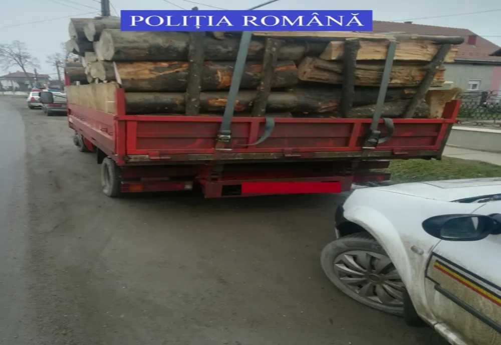 Au fost confiscate lemne de foc și cherestea fără documente de proveniență