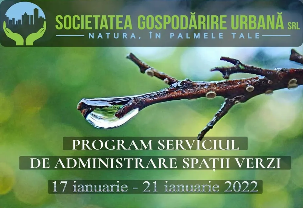 Program de tăiere a copacilor în cartierul Micro 2 și pe Faleza Dunării din Galați