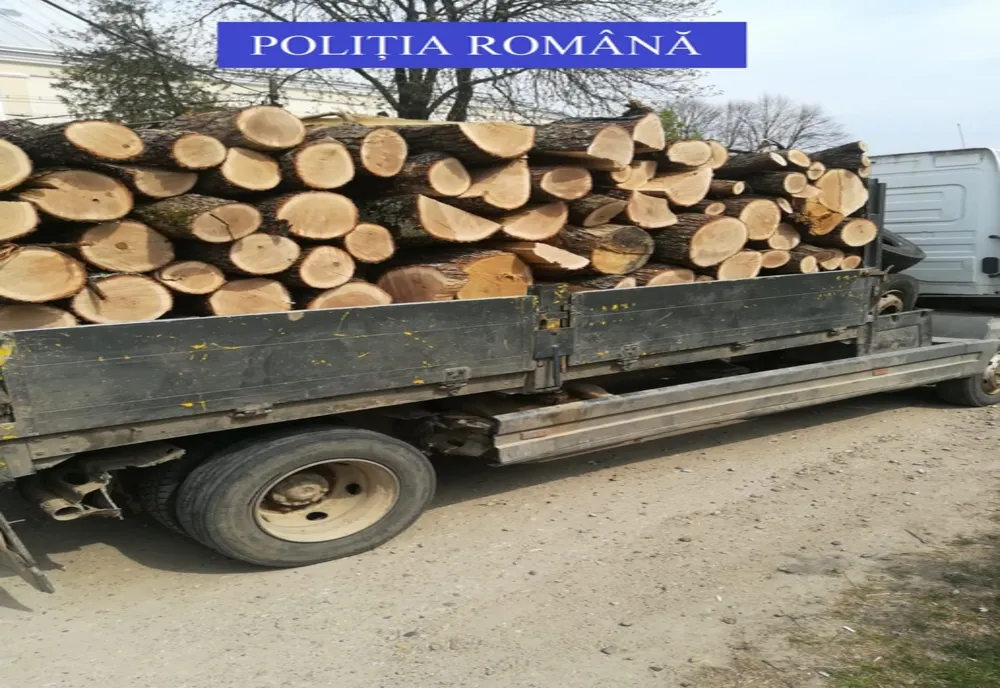 Pe parcursul anului 2021, la IPJ Galați au fost înregistrate 173 de dosare penale având ca obiect infracțiuni prevăzute de Codul Silvic