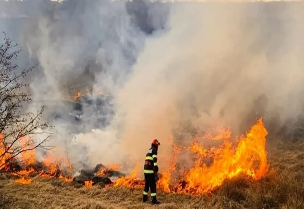 Agenţia pentru Protecţia Mediului (APM) Galaţi avertizează că este strict interzisă incendierea miriştilor, stufului, tufărişurilor sau vegetaţiei ierboase