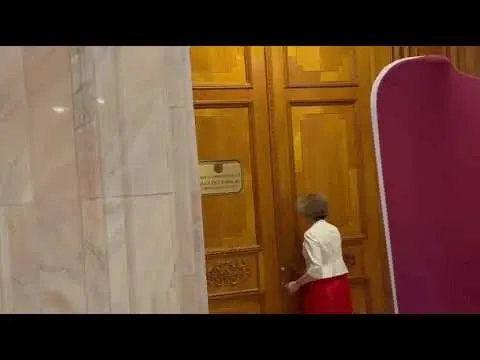 Ședință decisivă la CCR: Fritz poate rămâne fără mandat. Simina Tănăsescu sfidează presă după scandalul întâlnirii cu Bolojan - VIDEO