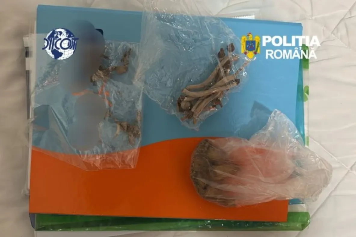Scandal și distrugeri în Gara Brăila după consumul de „Cristal”. Bărbatul avea droguri asupra lui când a fost prins