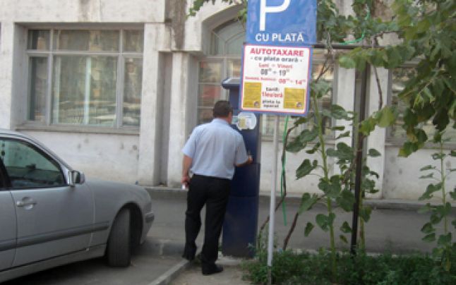 Pe strada Portului, unii furau copaci, alții transportau fier vechi cu barca