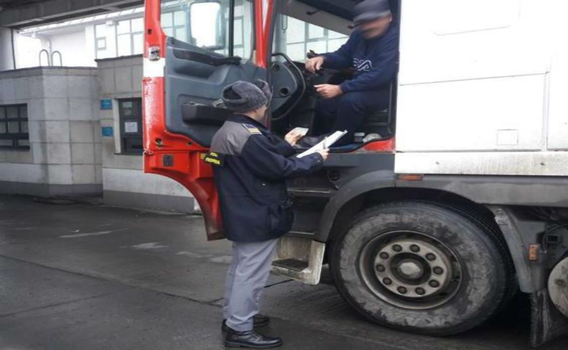 Certificat fals de transportator internaţional de mărfuri, cumpărat cu 60 de euro