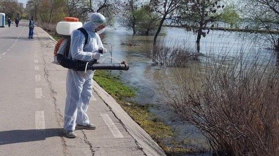 De luni, începe dezinsecţia la sol în parcuri şi zone verzi din Galaţi