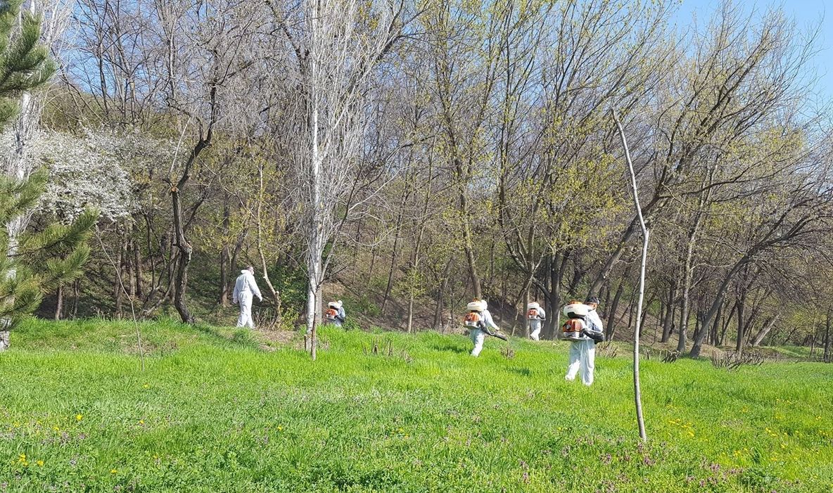 Dezinsecție organizată la Balta Zătun și în Pădurea Gârboavele