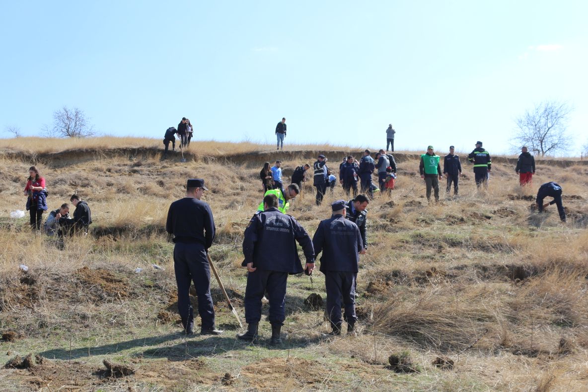 Pădurea generalului Eremia Grigorescu, salvarea dealurilor instabile de la Izvoarele