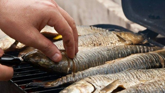 Am putea avea trei zile de Festivalul Scrumbiei anul acesta