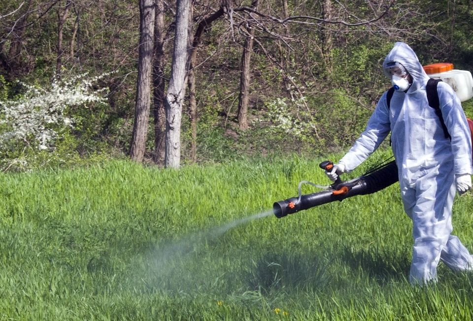 O nouă etapă de combatere a căpușelor, în municipiul Galaţi