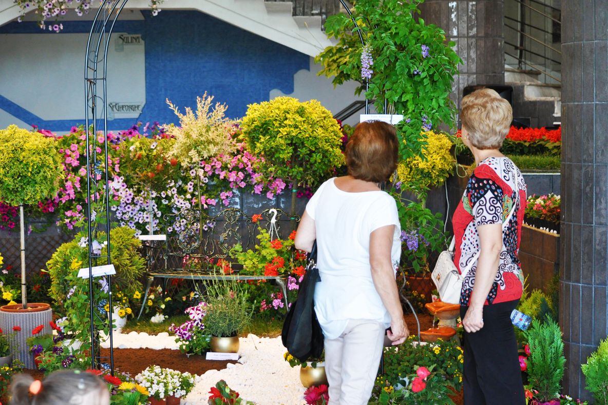 Explozie de culoare în weekend la Expo Flora - ediția XXIV