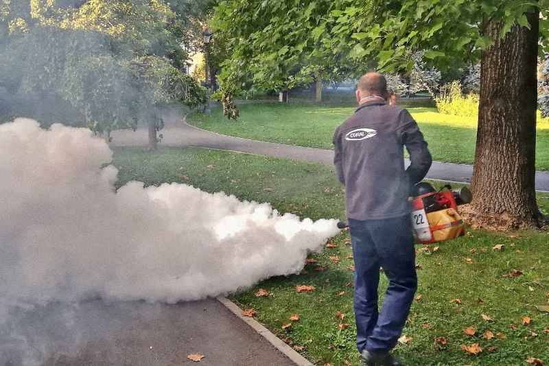 O nouă etapă de dezinsecţie, la Galaţi, timp de o săptămână