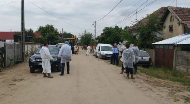 Trei noi focare de pestă porcină africană au fost confirmate în judeţul Galaţi