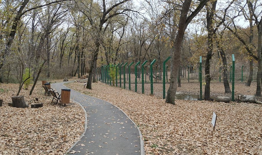 Pestă porcină africană la Grădina Zoologică de la Gârboavele