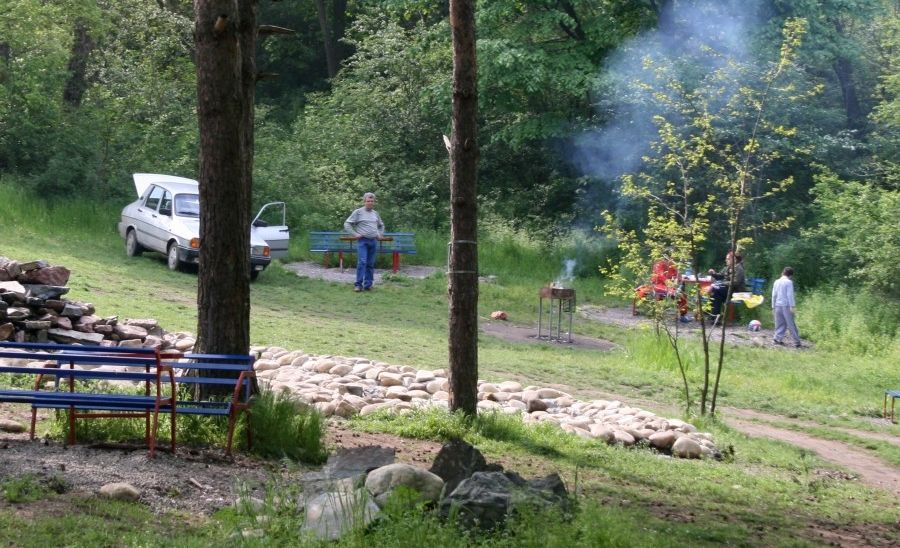 Zona de picnic de la Gârboavele, reamenajată de "Ursus"