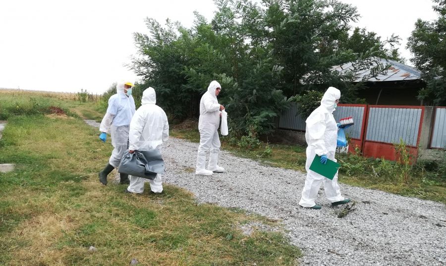 Slobozia Corni - primul sat gălățean care rămâne fără porci