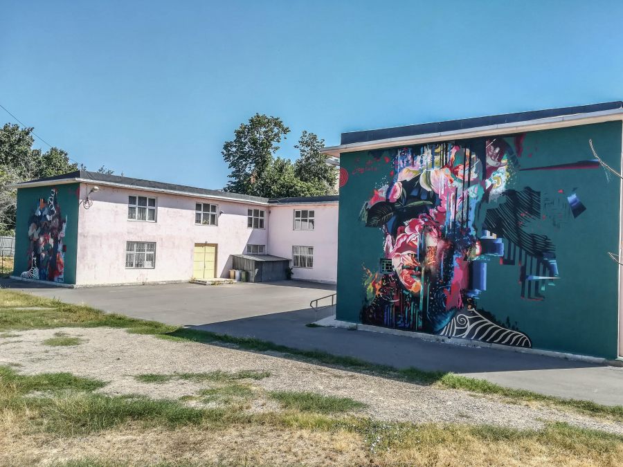 Şcoala nr. 26, pictată de un artist plastic, este de nerecunoscut