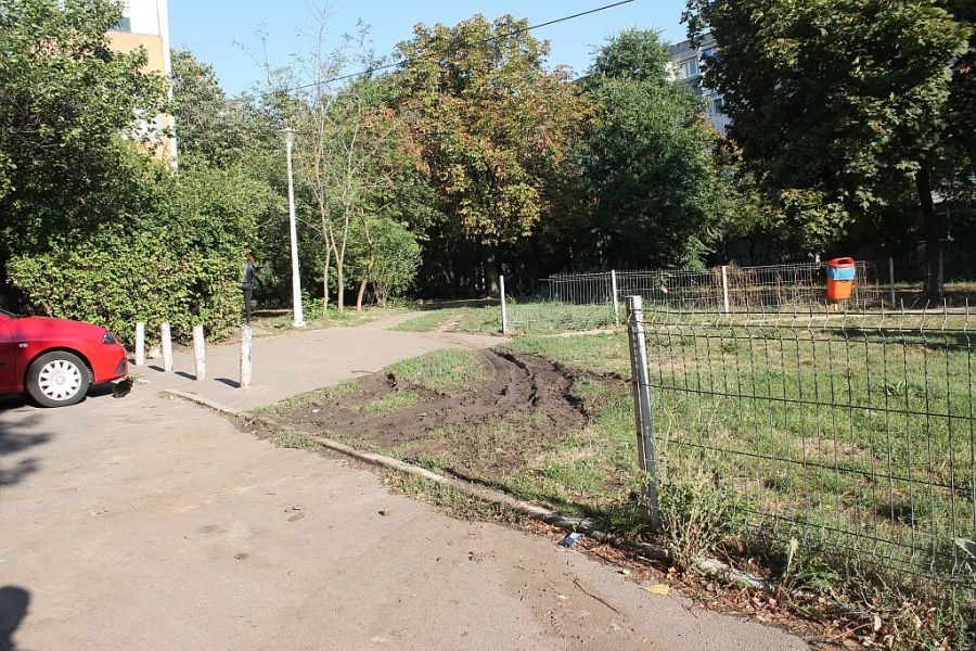 Muncitorii de la spaţii verzi vor avea salarii mai mari