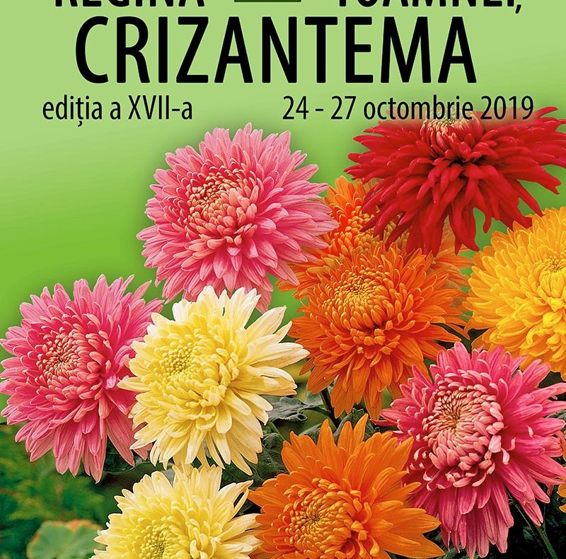 A XVII-a ediţie a expoziţiei "Regina Toamnei, Crizantema"