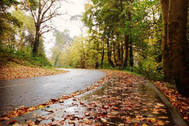 Săptămână cu temperaturi variate și șanse mici de precipitații
