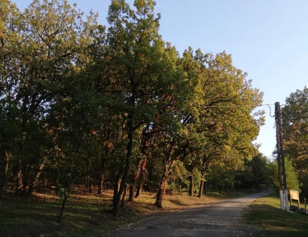 Vremea schimbătoare ne aduce temperaturi primăvăratice