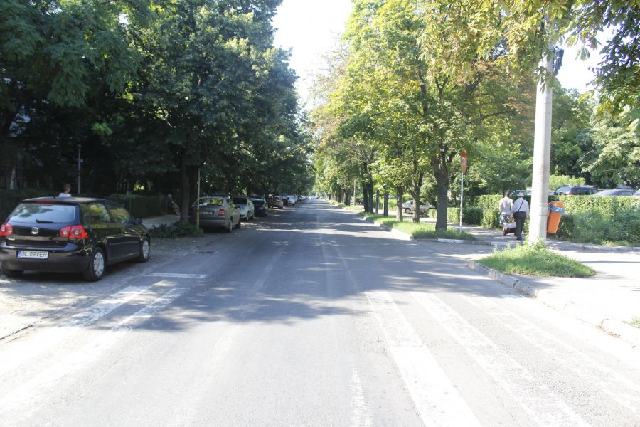 Campania de plantare de arbori continuă