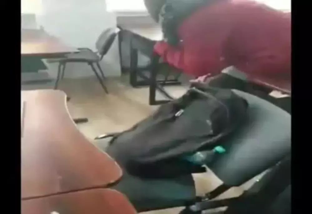 Şobolan filmat într-un liceu de elită din Galaţi. Imagini incredibile