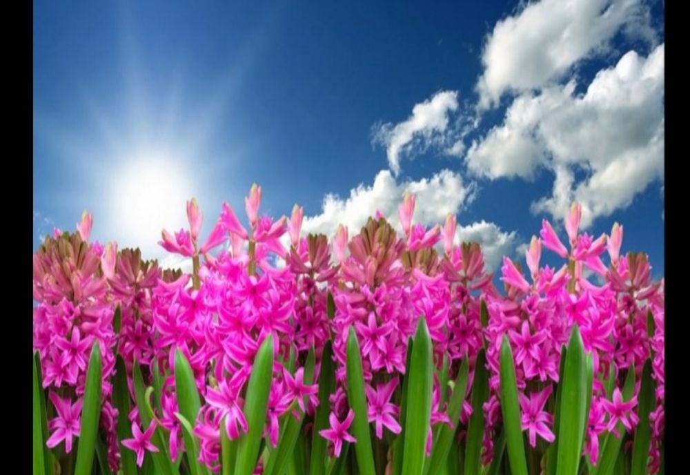 Cum va evolua vremea în săptămânile următoare