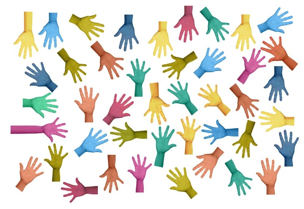 Duminică va avea loc o acțiune de ecologizare inițiată de un grup de voluntari