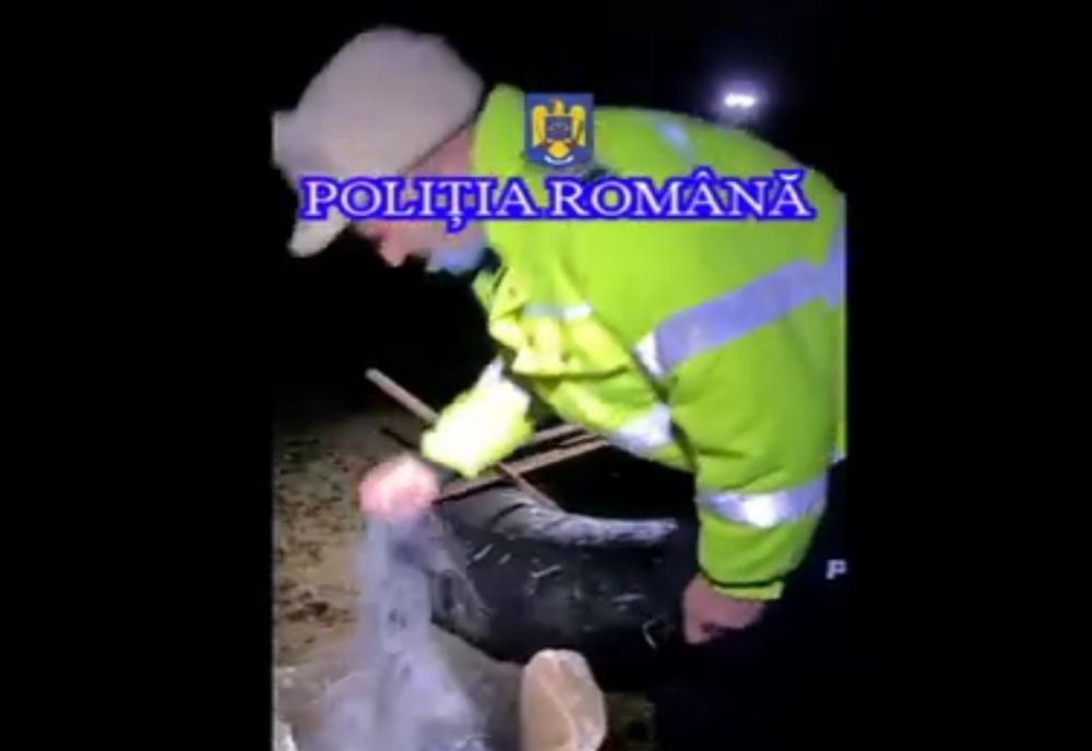 Video: Prinși în flagrant pescuind cu plasă de pescuit tip monofilament