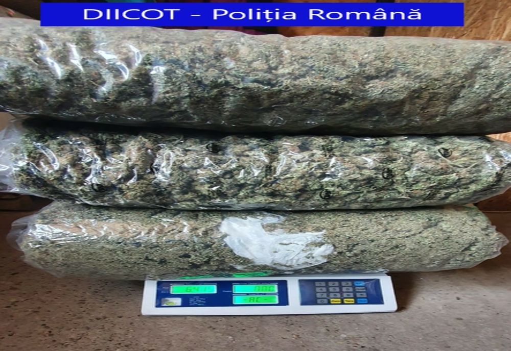 Video: Percheziții la Galați într-un dosar de trafic de droguri