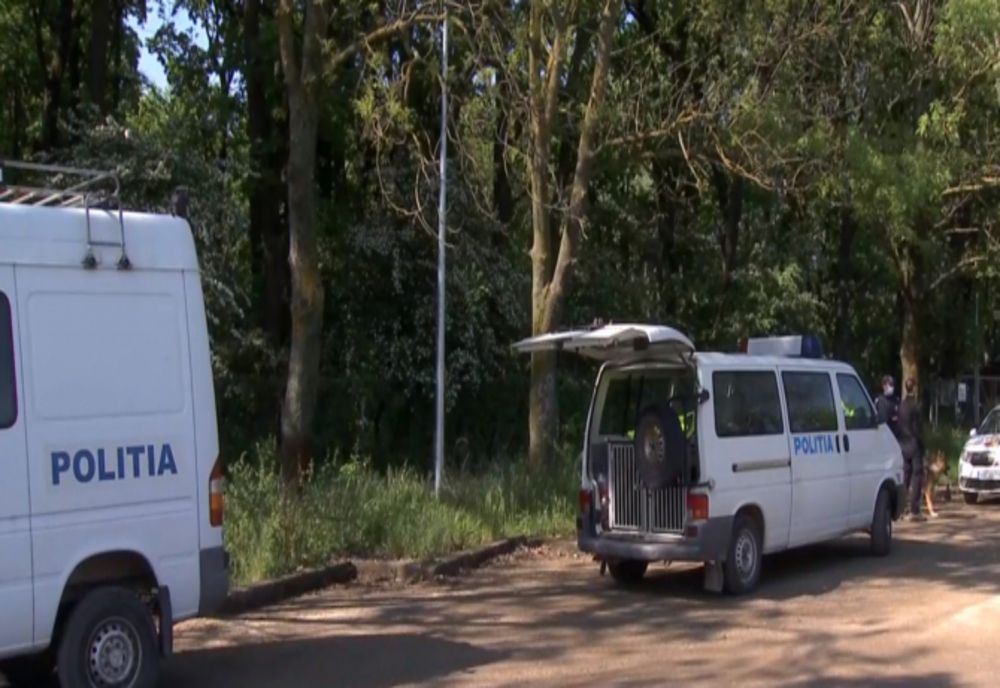 Cercetat pentru comiterea infracțiunilor de tăiere ilegală de arbori și furt de material lemnos