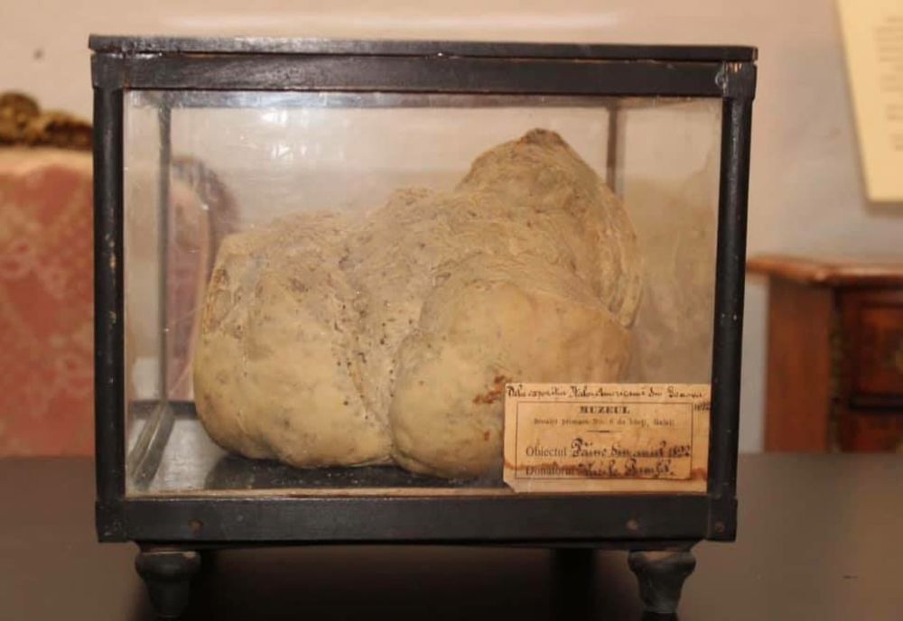 Cea mai veche pâine din lume se află acum la Muzeul 
