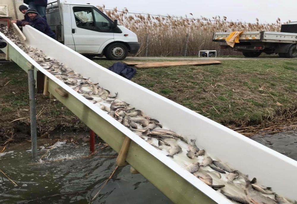 Balta Zătun va fi închisă pentru pescuit până pe 4 aprilie