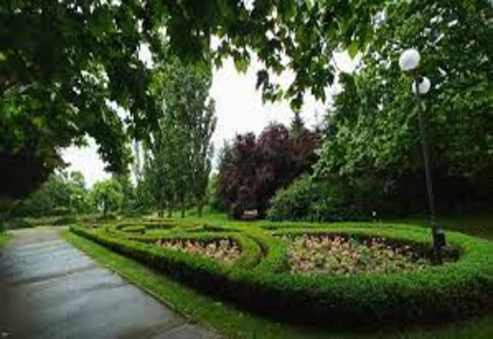 Un bărbat a fost găsit spânzurat de un copac în Grădina Botanică din Galați