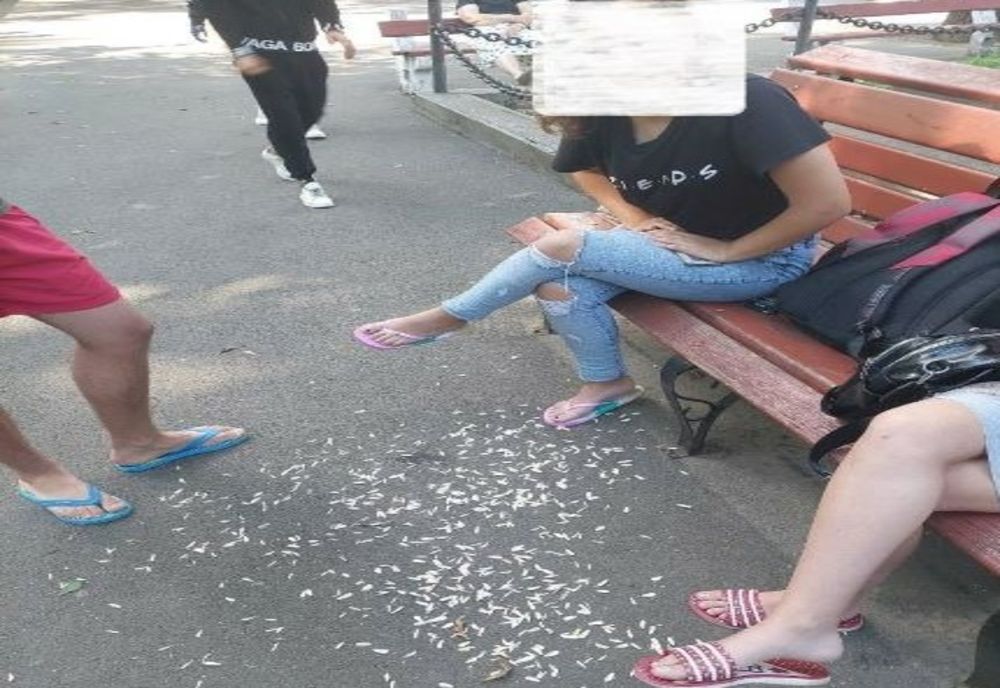 Spărgătorii de semințe sancționați de polițiștii locali gălățeni