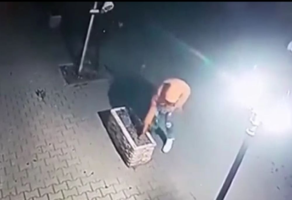 Șapte minori din Tecuci au vandalizat mobilierul urban, stâlpii de iluminat, copacii și florile de pe o stradă