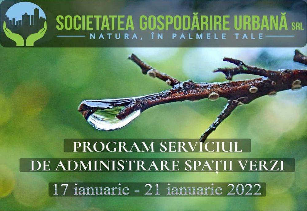 Program de tăiere a copacilor în cartierul Micro 2 și pe Faleza Dunării din Galați