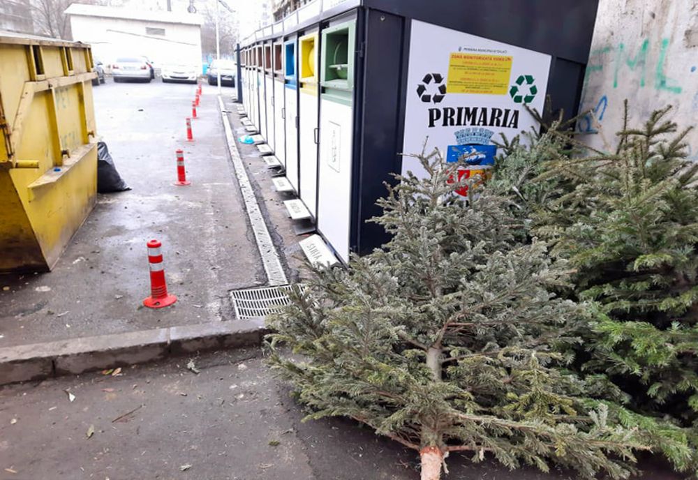 Lăsați brazii naturali la punctele de colectare a gunoiului