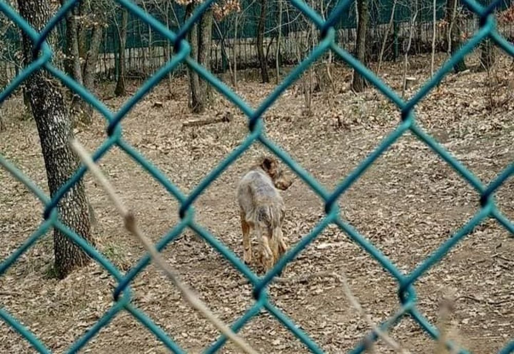 Poliția Animalelor a sancționat Grădina Zoologică din Galați