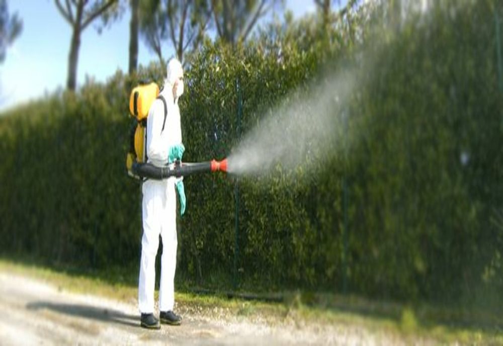 Primăria Galați anunță că începe o nouă etapă pentru dezinsecție