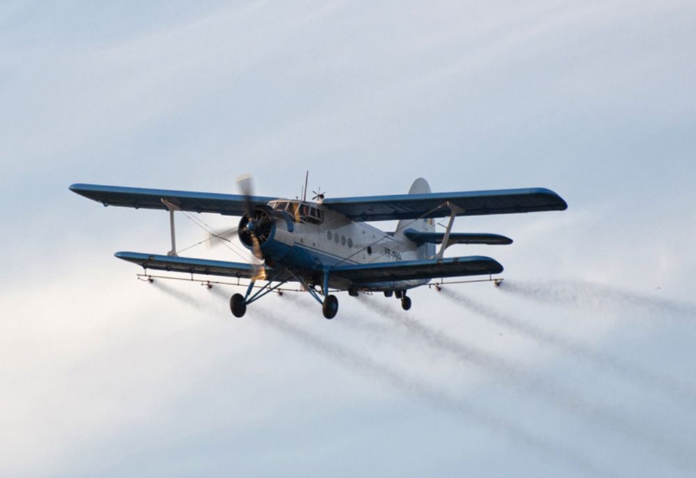 Ploile au amânat dezinsecția în Galați