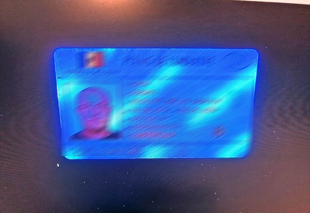 200 de euro, prețul unui permis de conducere fals 