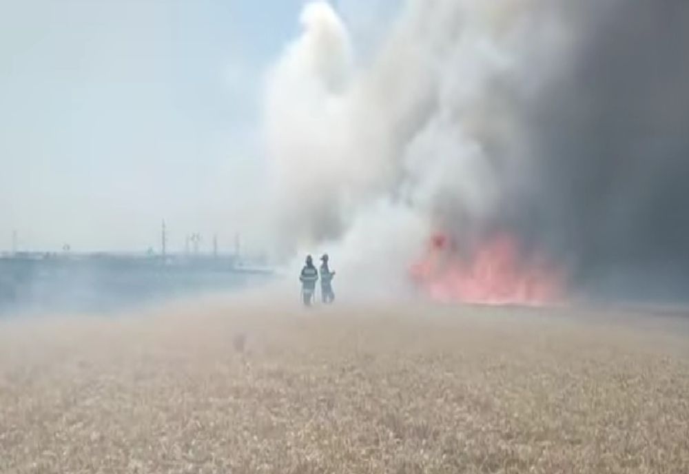 Zeci de hectare de grâu mistuite de flăcări