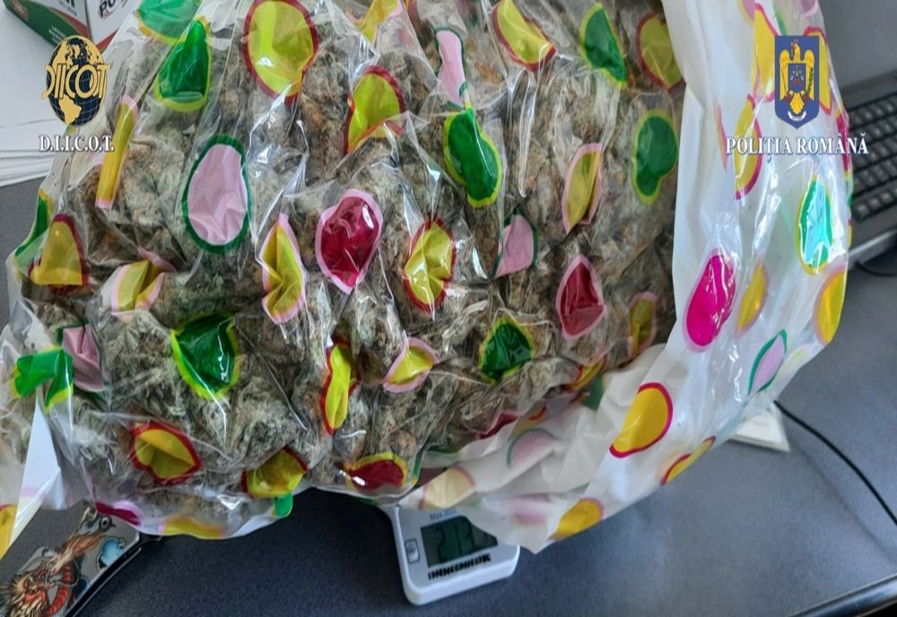 Cercetat pentru trafic și introducere în tara de droguri de risc