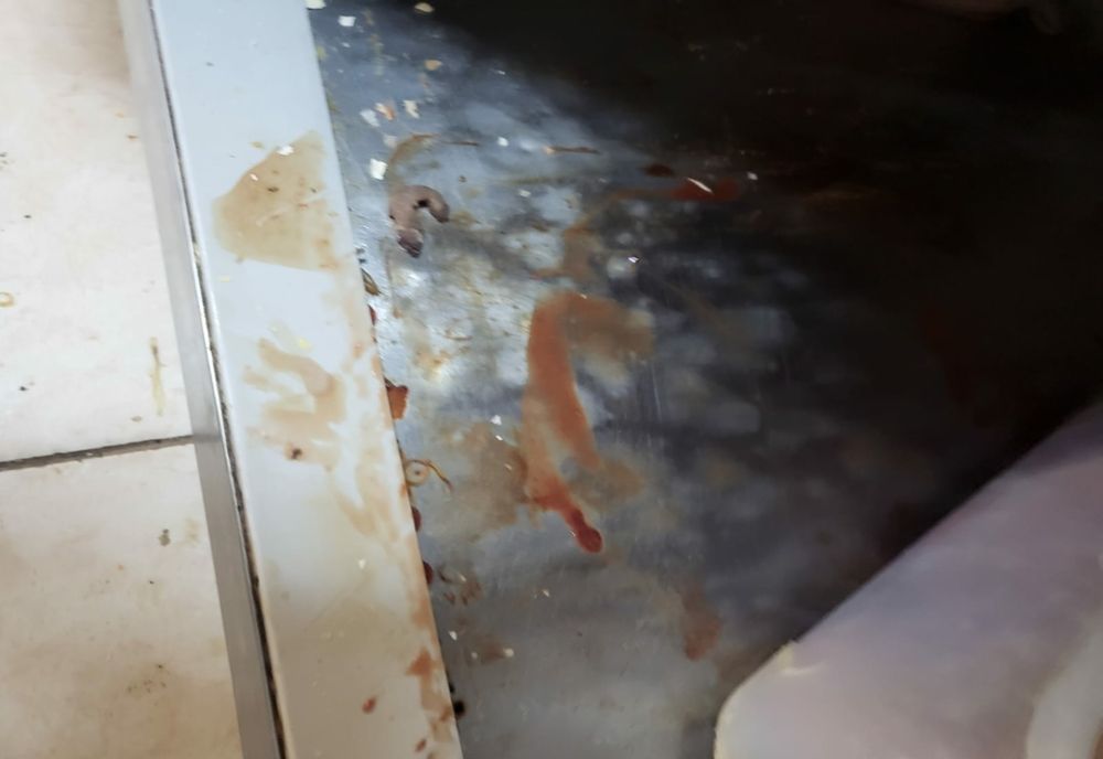 Foto+video: Un restaurant cu specific chinezesc din Galați a fost amendat de comisarii de la Protecția Consumatorilor